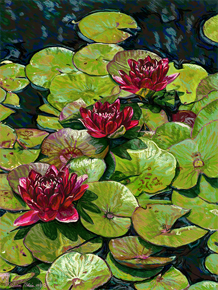 Waterlilies